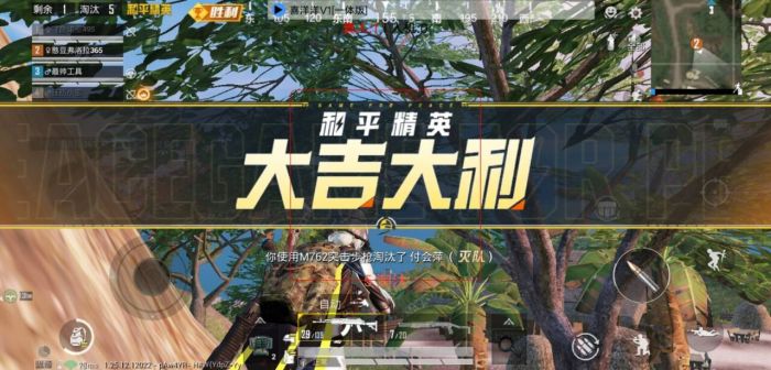 和平精英挂+锁头+透视+锁血 - 全功能辅助合集